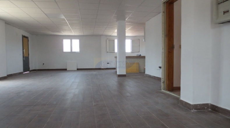 Murcia - Murcia - 700m2