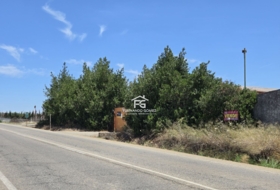 Pilas 2806&nbsp;m²