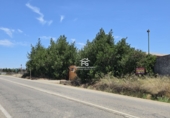 Finca rústica en venta en Pilas ref: TR412901 foto