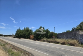 Pilas 2806&nbsp;m²