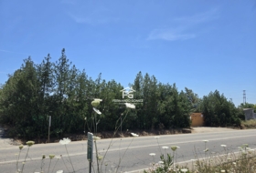 Pilas 2806&nbsp;m²