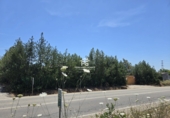 Finca rústica en venta en Pilas ref: TR412901 foto