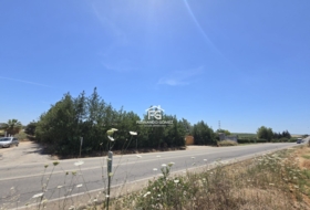 Pilas 2806&nbsp;m²