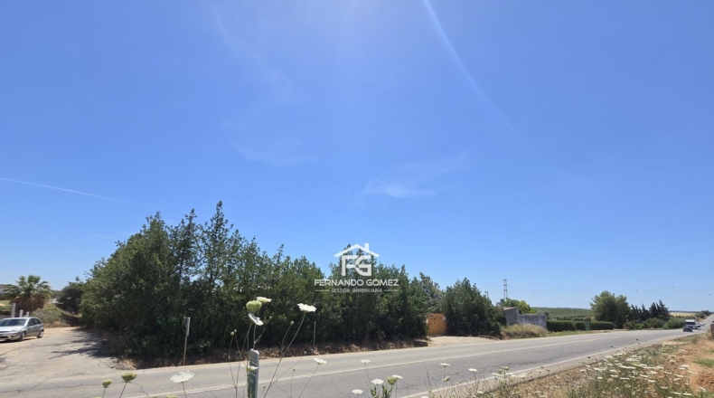 Sevilla - Pilas - 2806m2