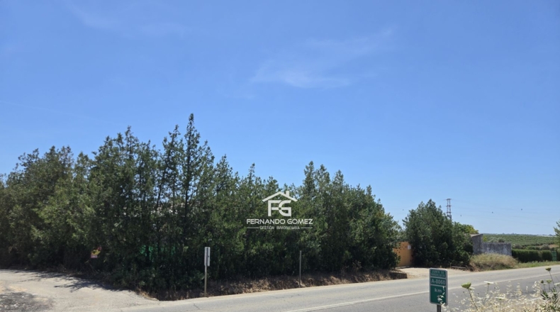 Sevilla - Pilas - 2806m2