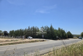 Pilas 2806&nbsp;m²