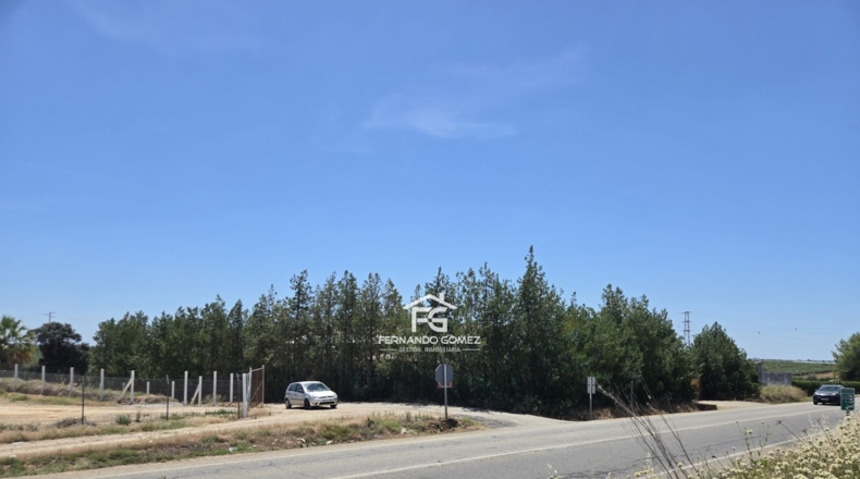 Sevilla - Pilas - 2806m2