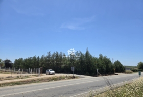 Pilas 2806&nbsp;m²