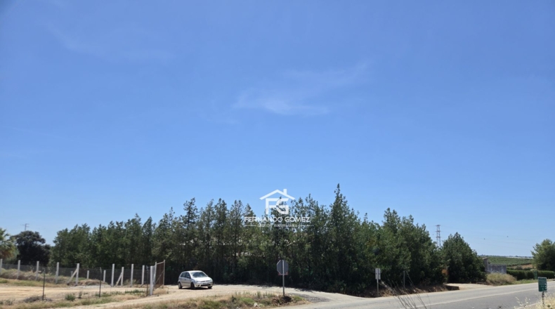 Sevilla - Pilas - 2806m2