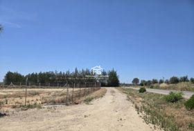Pilas 2806&nbsp;m²