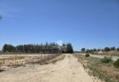 Finca rústica en venta en Pilas ref: TR412901 foto