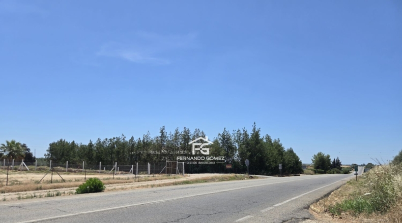 Sevilla - Pilas - 2806m2