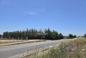 Pilas 2806&nbsp;m²