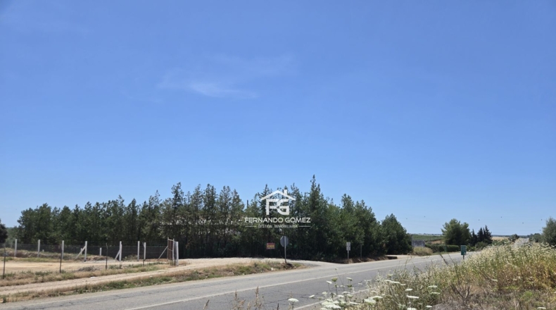 Sevilla - Pilas - 2806m2