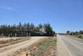 Pilas 2806&nbsp;m²