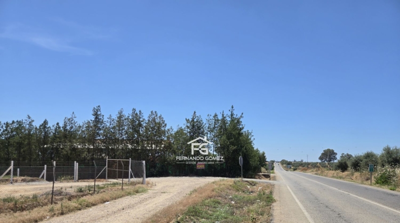 Sevilla - Pilas - 2806m2
