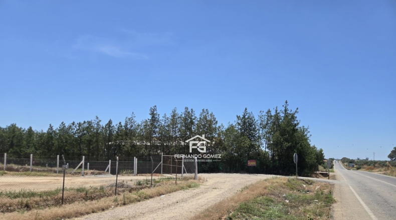 Sevilla - Pilas - 2806m2