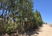 Finca rústica en venta en Pilas ref: TR412901 foto