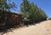 Finca rústica en venta en Pilas ref: TR412901 foto