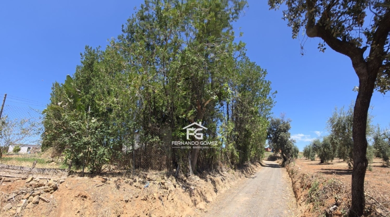 Sevilla - Pilas - 2806m2