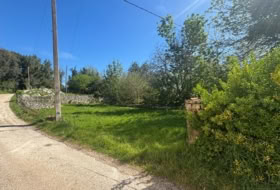 Llanes 501&nbsp;m²