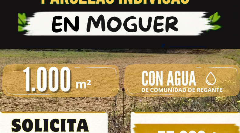 Huelva - Moguer - 1000m2
