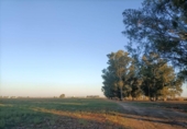 Parcela urbanizable en venta en la España, Sevilla, ref: TR313775 foto
