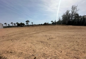 Torrevieja 3500&nbsp;m²