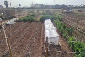 Foto 9