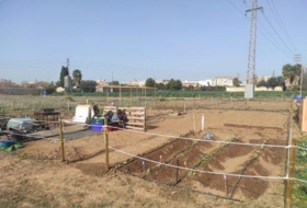 Foto 10