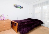 Chalet independiente con terreno en alquiler en la España, Torrevieja, ref: TR398405 foto