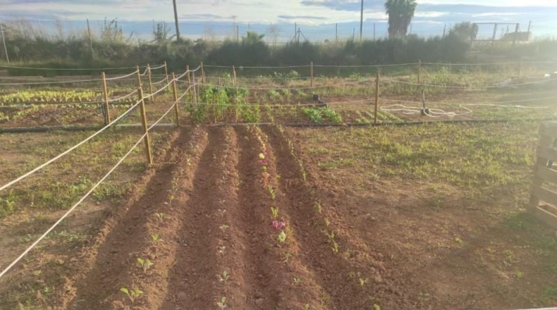 Valencia - Alacuás - 100m2