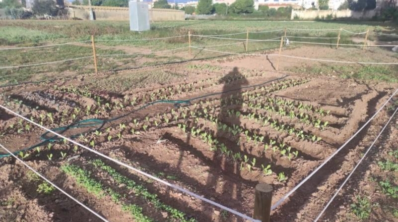 Valencia - Alacuás - 100m2