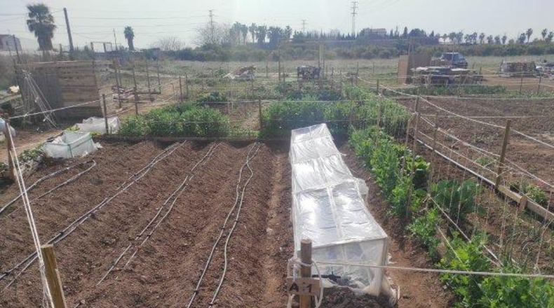 Valencia - Alacuás - 100m2