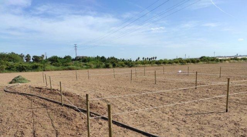 Valencia - Alacuás - 100m2