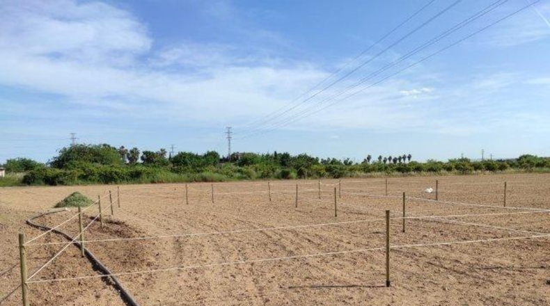 Valencia - Alacuás - 100m2