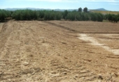 Terreno no urbanizable en alquiler en la España, Fuente Álamo, ref: TR322663 foto