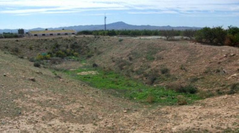 Murcia - Fuente Álamo de Murcia - 5203m2