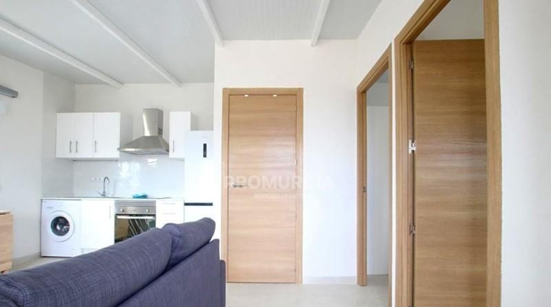 Murcia - Murcia - 2000m2