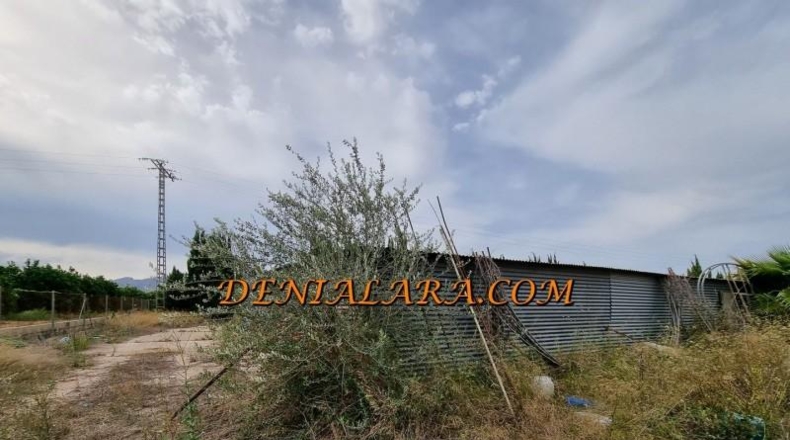 Alicante - Pedreguer - 2400m2