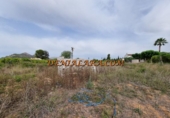 Terreno no urbanizable en alquiler en la España, Pedreguer, ref: TR299832 foto