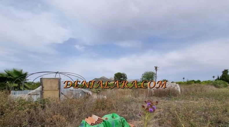 Alicante - Pedreguer - 2400m2