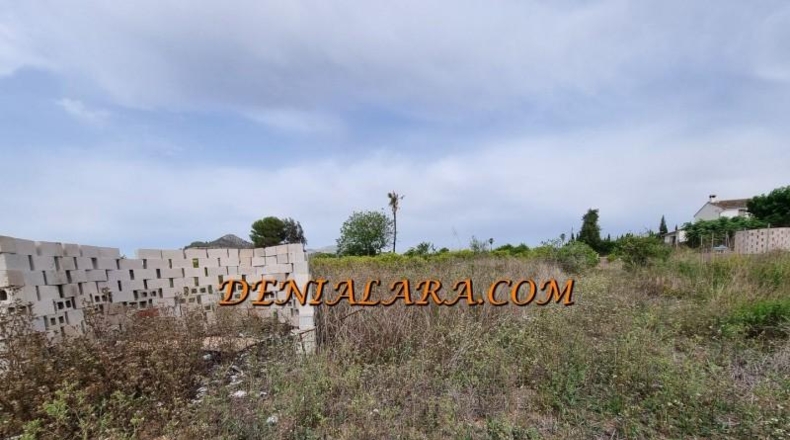 Alicante - Pedreguer - 2400m2