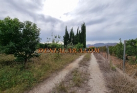 Foto 18