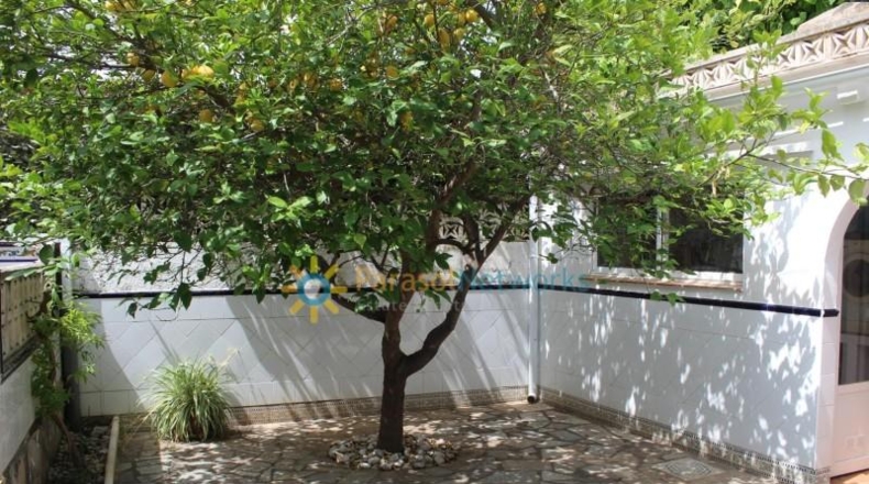Valencia - Oliva - 150m2