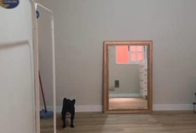 Santa Cruz de Tenerife 190&nbsp;m²