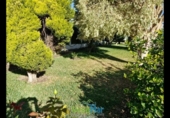 Chalet independiente con terreno en alquiler en la España, Salobreña, ref: TR398747 foto