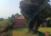 Chalet independiente con terreno en alquiler en la España, Chiclana de la Frontera, ref: TR289942 foto
