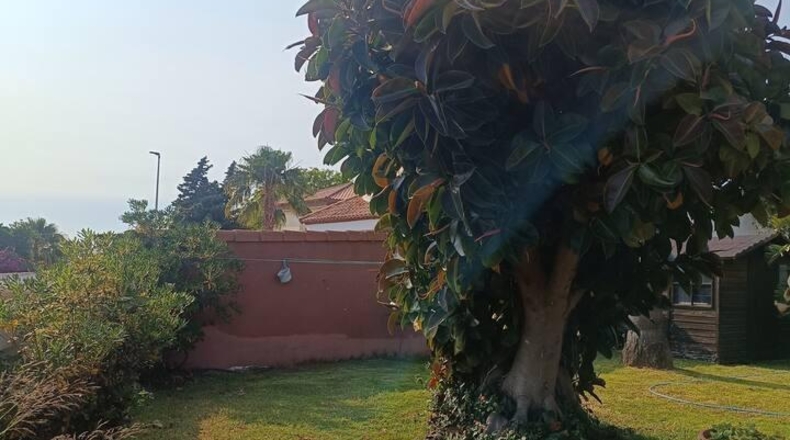 Cadiz - Chiclana de la Frontera - 500m2