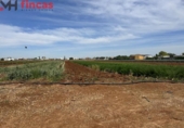 Terreno no urbanizable en alquiler en la España, Sevilla, ref: TR276770 foto